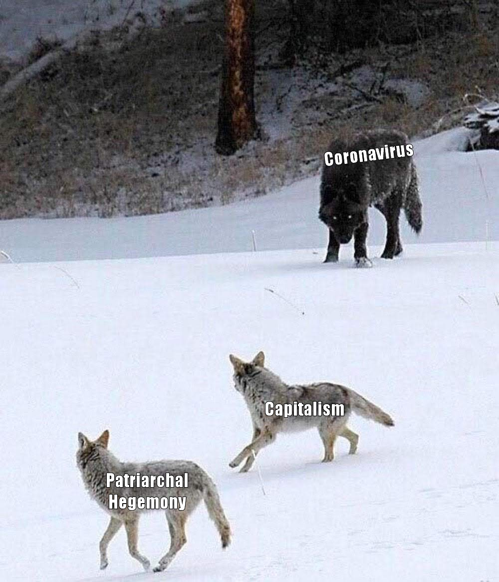 The meme depicts a wolf chasing three coyotes in the snow. The wolf is labeled "Coronavirus", while the coyotes are labeled "Patriarchal Hegemony", "Capitalism", and "Feminism". The image is meant to be humorous and satirical, implying that the three coyotes are working together to evade the wolf, representing the struggle against oppressive systems.